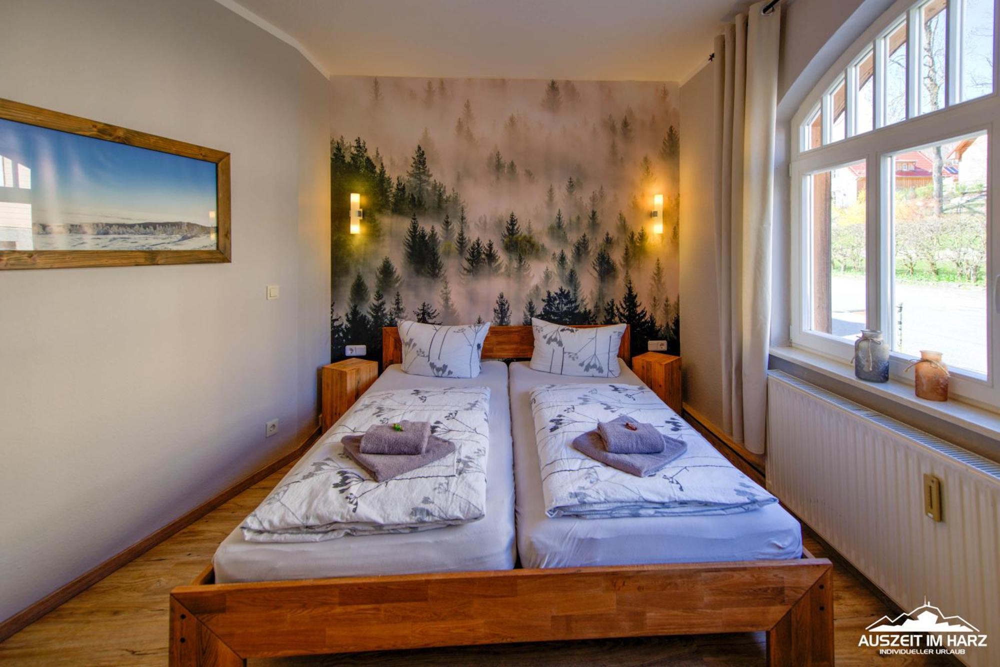 שירקה Auszeit Im Harz Haus 1 Wohnung Feuerstein מראה חיצוני תמונה