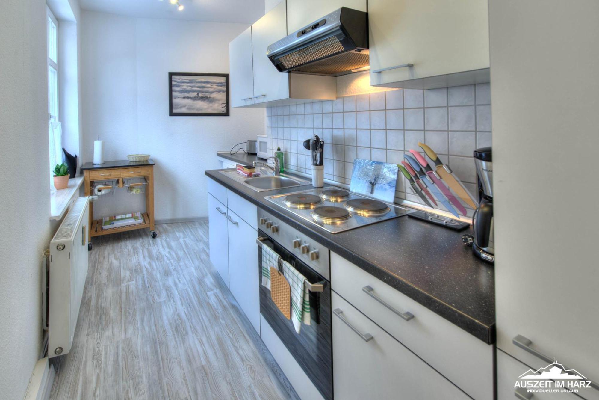 שירקה Auszeit Im Harz Haus 1 Wohnung Feuerstein מראה חיצוני תמונה